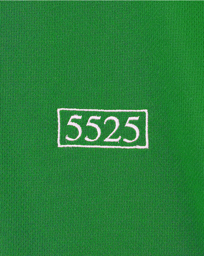 5525POLO 詳細画像 GREEN 3
